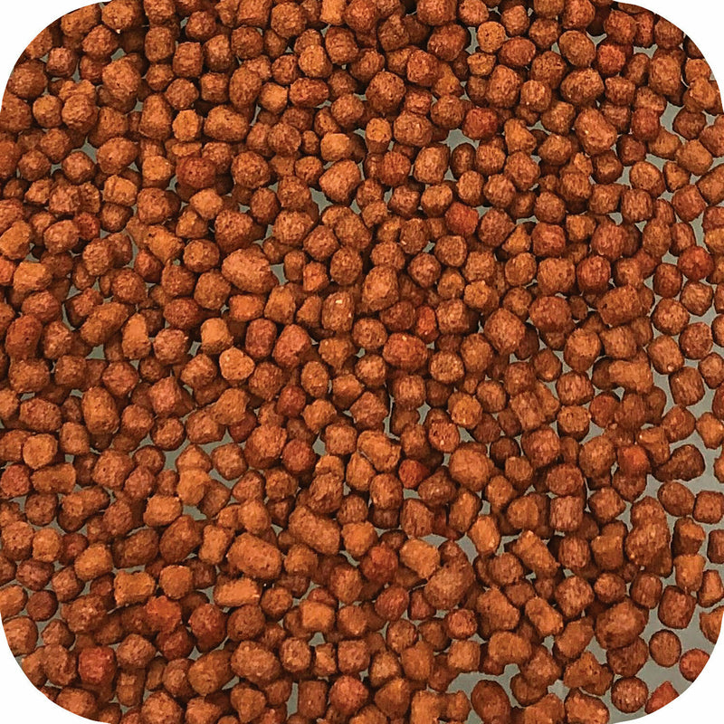 Microbe-Lift/LEGACY Koi & Goldfish Pond Fish Food Summer Staple
