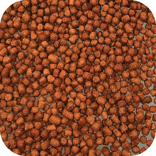Microbe-Lift/LEGACY Koi & Goldfish Pond Fish Food Summer Staple
