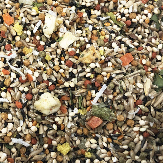 Higgins Sunburst Canary and Finch Seed