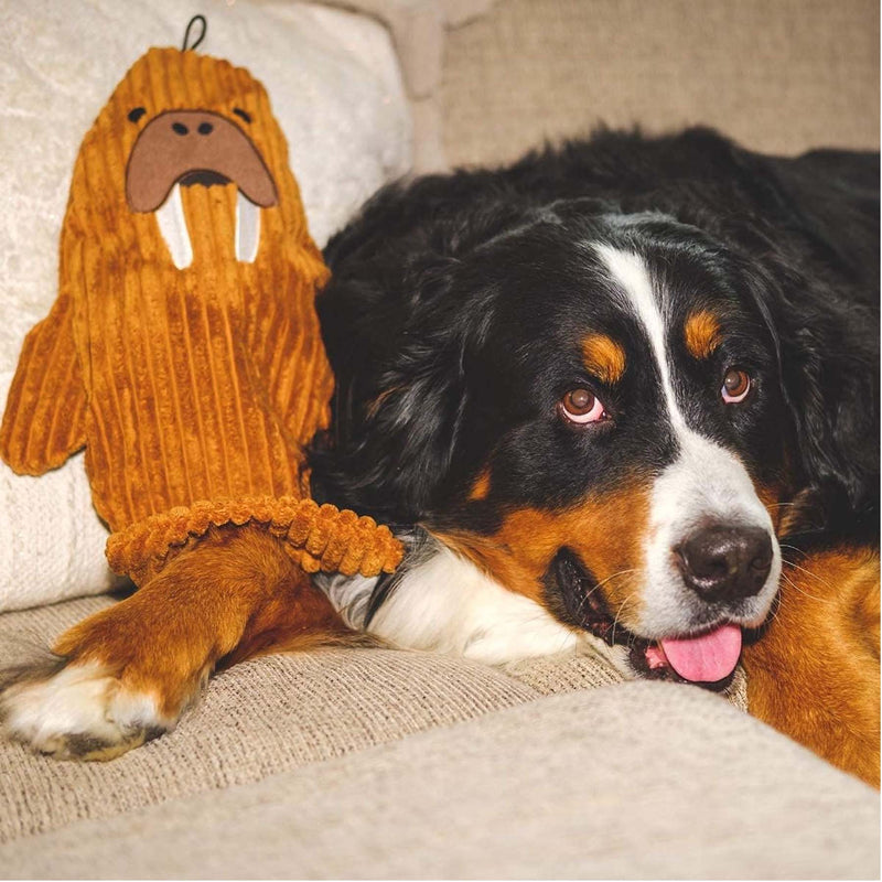 Tender-Tuffs You Fill Walrus Dog Toy
