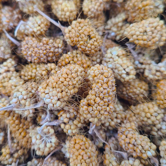 Tiv's Treats Millet Munchies - 3 oz