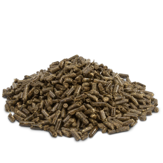 Versele-Laga Crispy Chinchilla & Degu Pellet