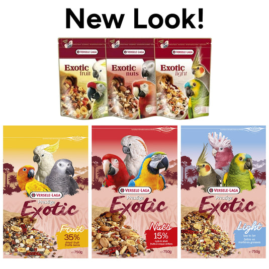Prestige Exotic Nuts Parrot Treat - 750 g