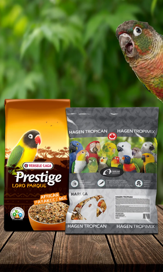 WE HAVE THE LARGE BAGS!