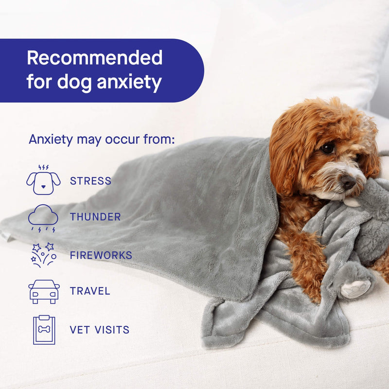 Calming Weighted Blanket for Dogs 🍁
