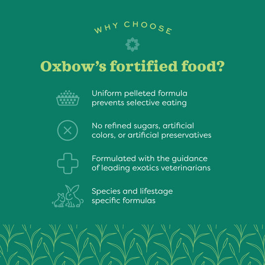 Oxbow Essentials Senior Rabbit Food