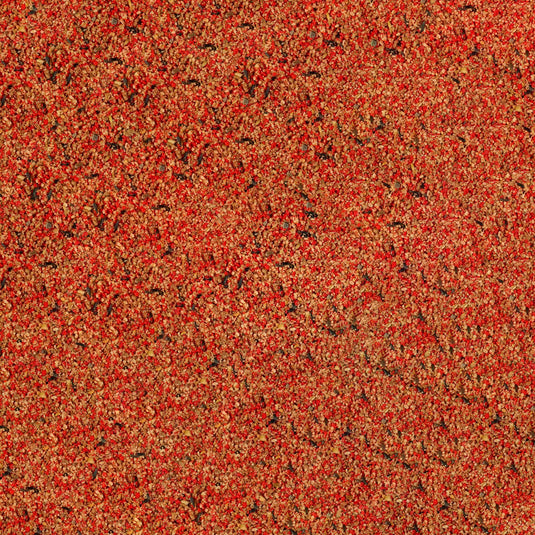 Witte Molen Expert Red Moist Eggfood for Canaries