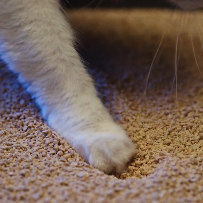 Load image into Gallery viewer, Worlds Best Cat Litter Multiple Cat Unscented FLUSHABLE Formula - 28 lbs
