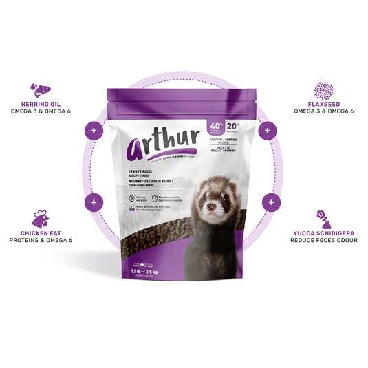 Arthur The Ferret Expert - Ferret Food for All Life Stages Complete Nutrition 🍁