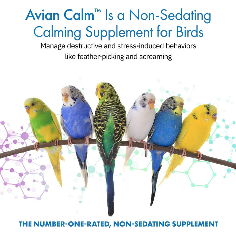 Equa Holistics Avian Calm | 45g (1.59 oz)
