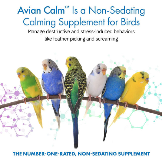 Equa Holistics Avian Calm | 45g (1.59 oz)