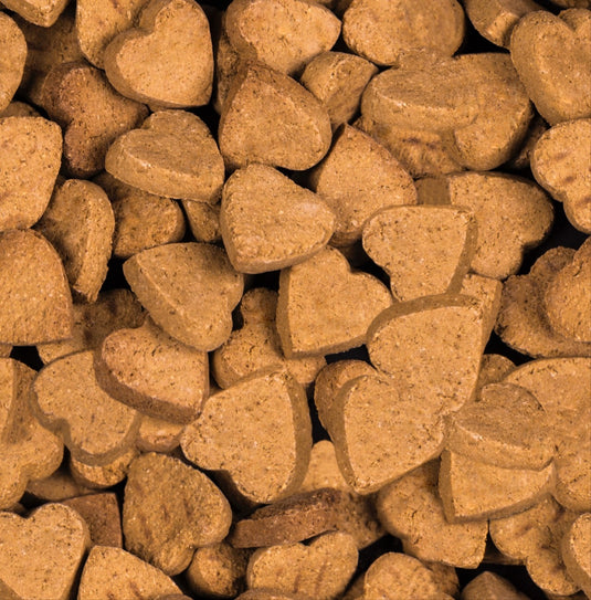 Oven Baked Tradition Natural Grain Free Dog Treats 1lb - 2 Flavours 🍁