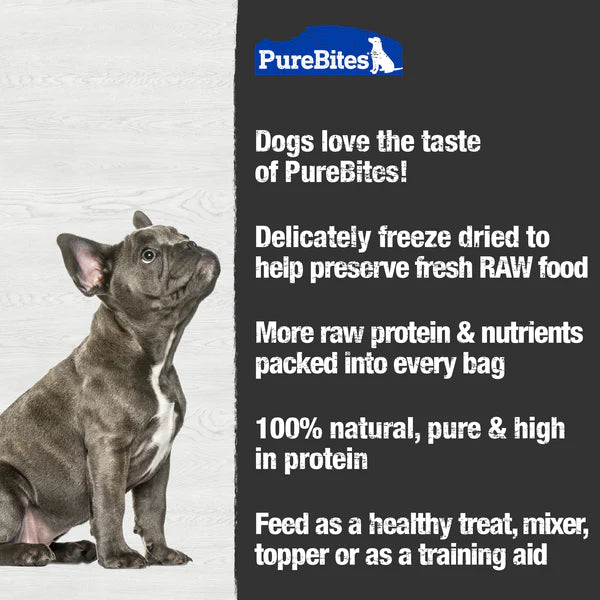 PureBites Cheddar Freeze Dried Dog Treat
