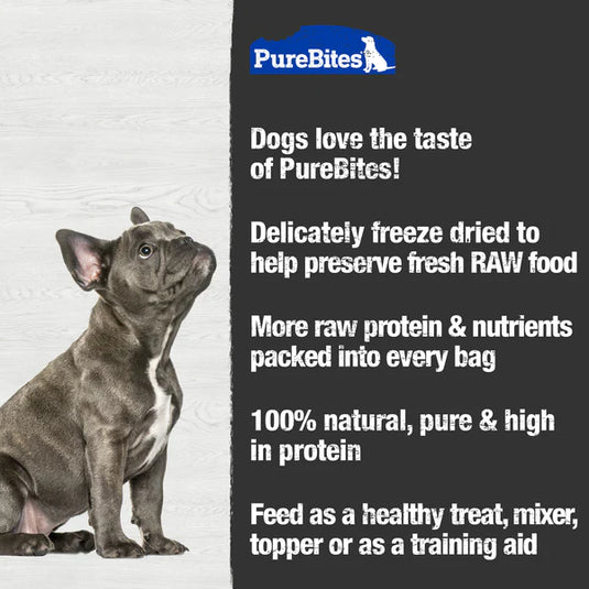 PureBites Cheddar Freeze Dried Dog Treat