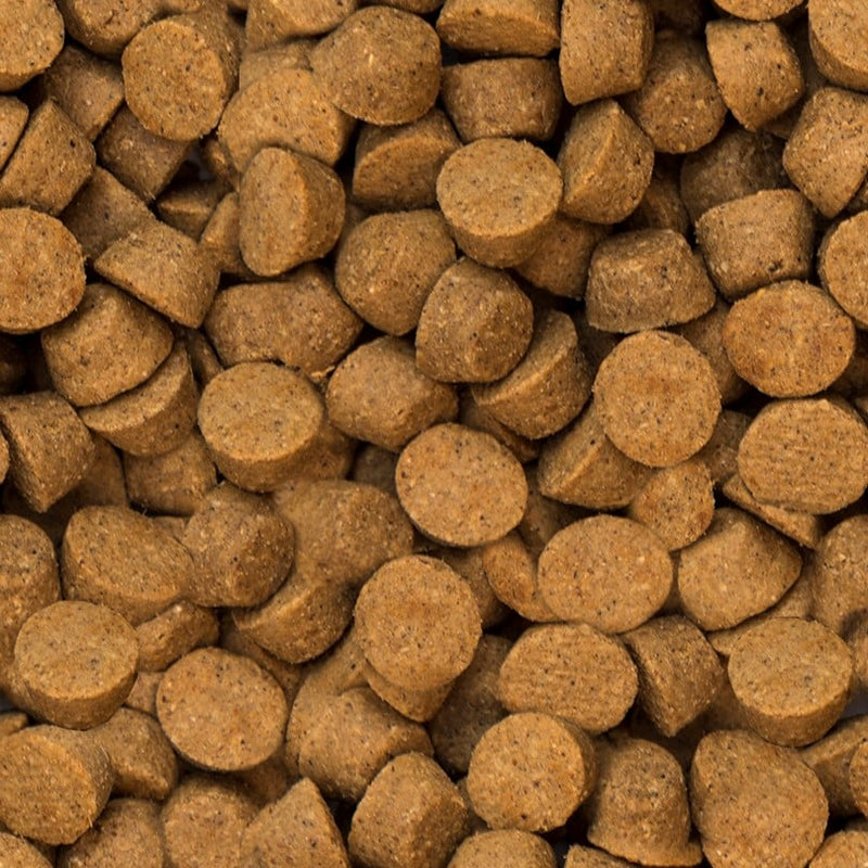 Oven Baked Tradition Semi-Moist All Breed Adult Dog Food - Chicken 🍁

