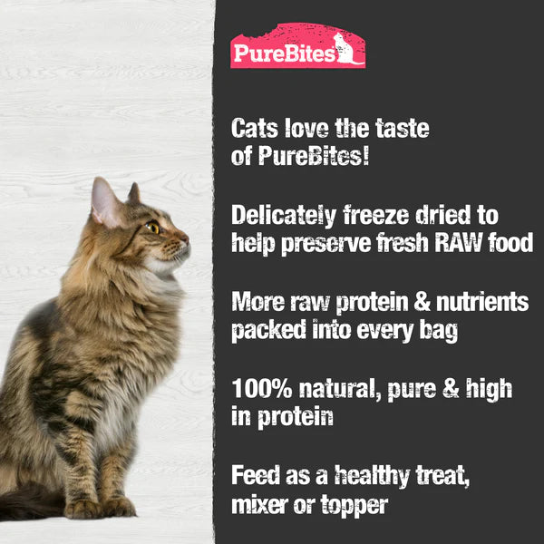 PureBites Shrimp Freeze Dried Cat Treat