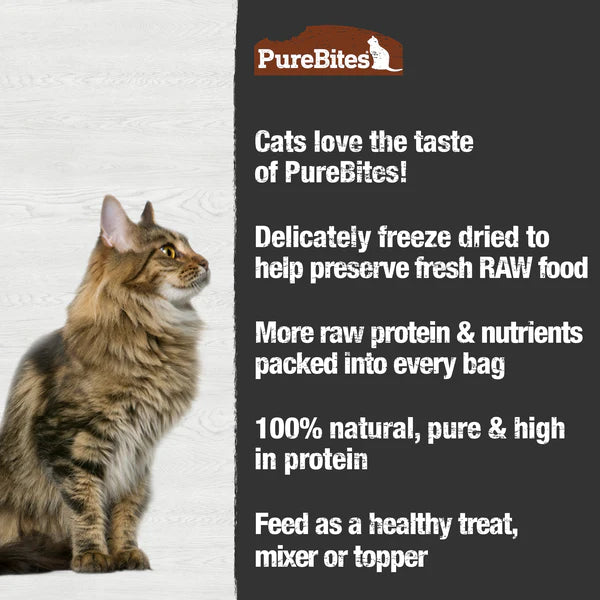 PureBites Turkey Freeze Dried Cat Treat