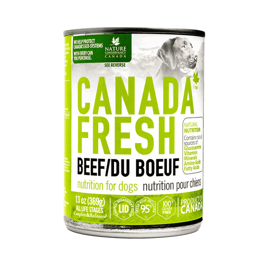 Canada Fresh Beef Pate Wet Dog Food 🍁