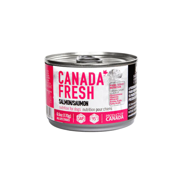 Canada Fresh Salmon Pate Wet Dog Food 🍁
