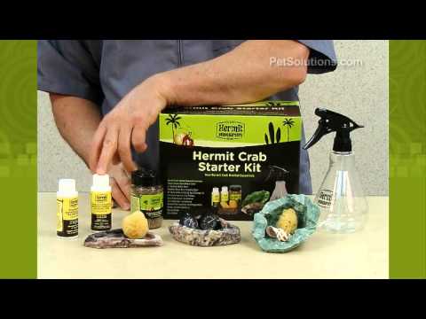 Hermit Crab Starter Kit