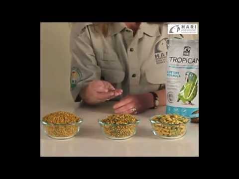 Load and play video in Gallery viewer, Tropican Lifetime Formula 2mm Granules - Small Parrots 🍁
