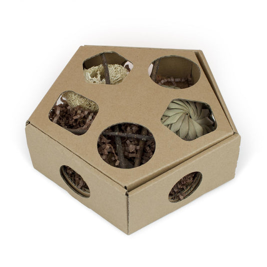 Prevue Hendryx Naturals Pentagon Forage n' Play Box - Large