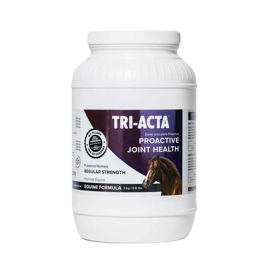 Tri-Acta Regular Strength Equine Mobility Support for Sport/Working & Retired Horses