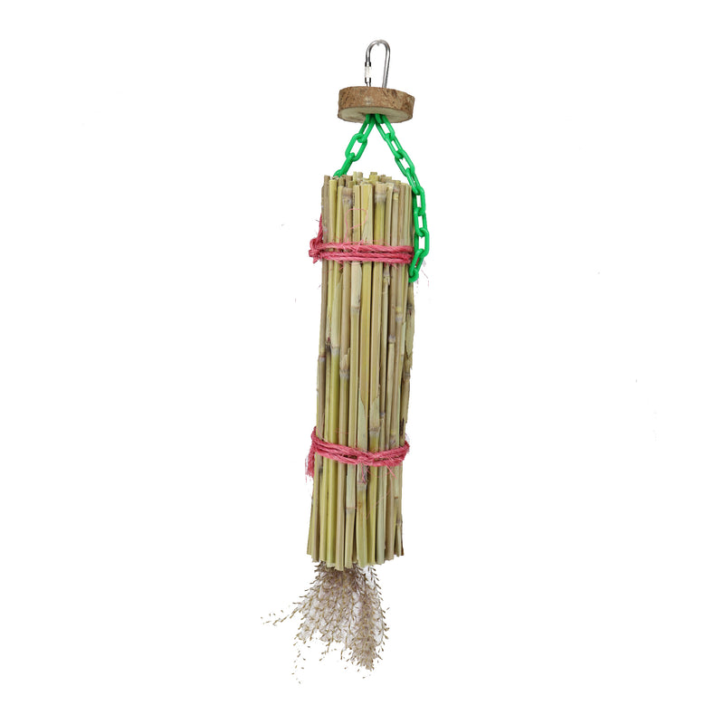 Parrot Lumber 039 Grass Snax - Exotic Wings and Pet Things