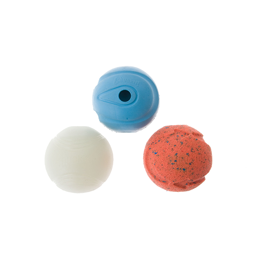 ChuckIt! Fetch Ball
