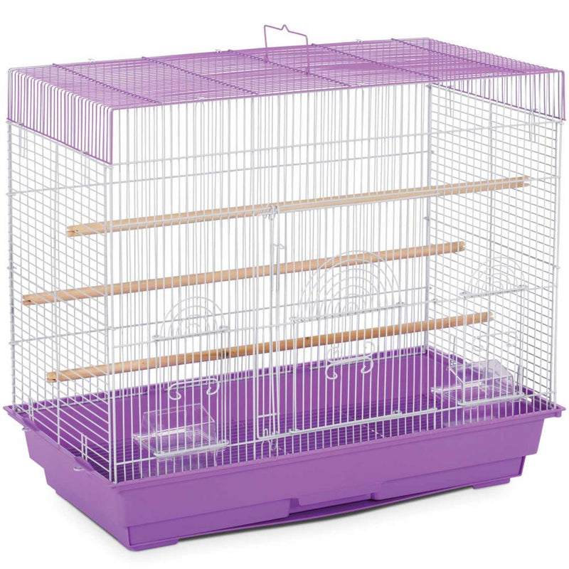 Prevue Hendryx Cockatiel & Parakeet Flight Cage - Exotic Wings and Pet Things #Colour_1804 Purple White
