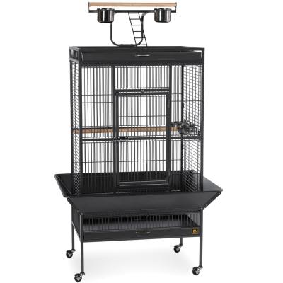 Prevue Hendryx Select Parrot Cage Medium - Exotic Wings and Pet Things