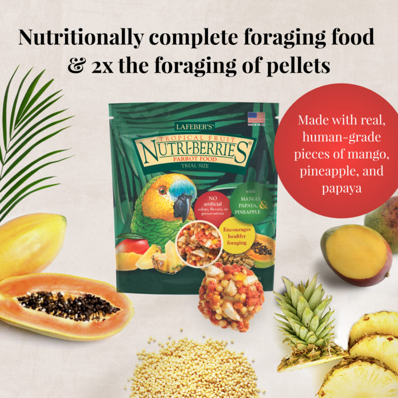 Lafeber's Foraging Fun Pack Parrot