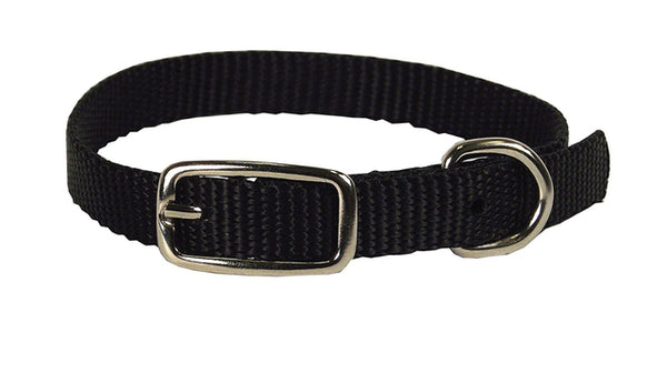 Hamilton Single Thick Nylon Collar w Buckle - Standard Series 3/8" (10-14"L)