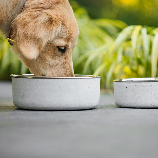 BEONE BREED Concrete Bowl Medium - 700ml