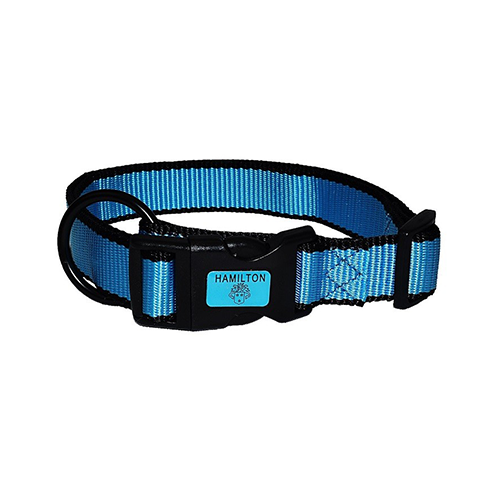 Hamilton Neon Adjustable Dog Collar
