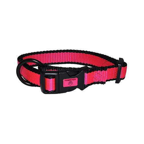 Hamilton Neon Adjustable Dog Collar
