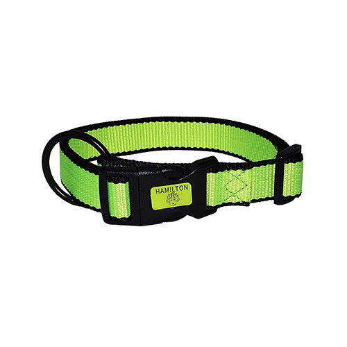 Hamilton Neon Adjustable Dog Collar
