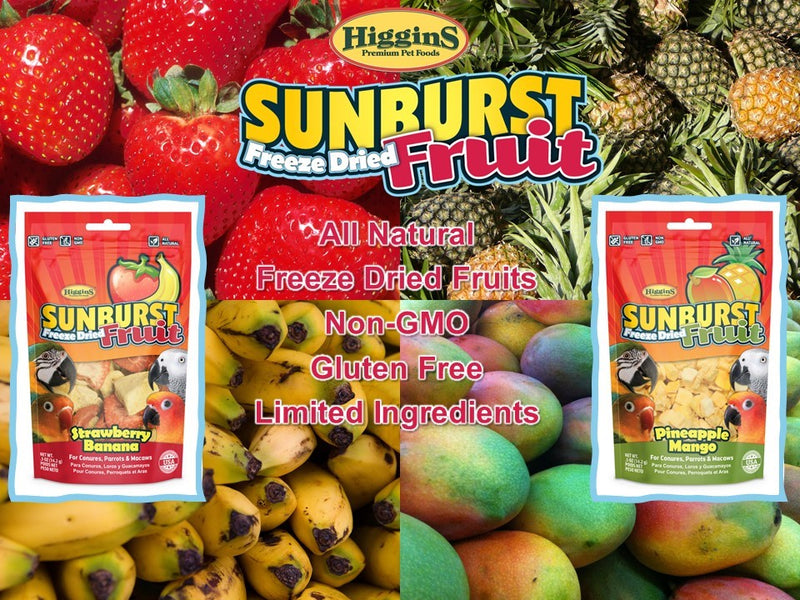 Higgins Sunburst Freeze Dried Fruit Pineapple Mango Treat
