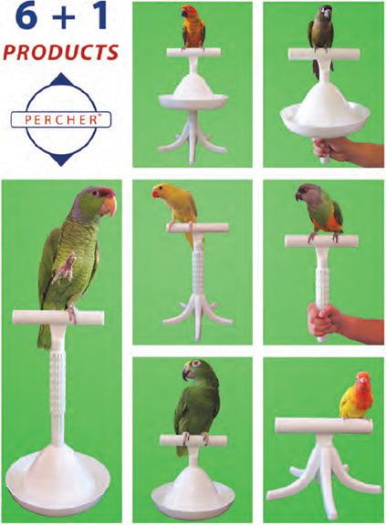 Featherland Paradise Percher Training Stand For Parrots and Parakeets