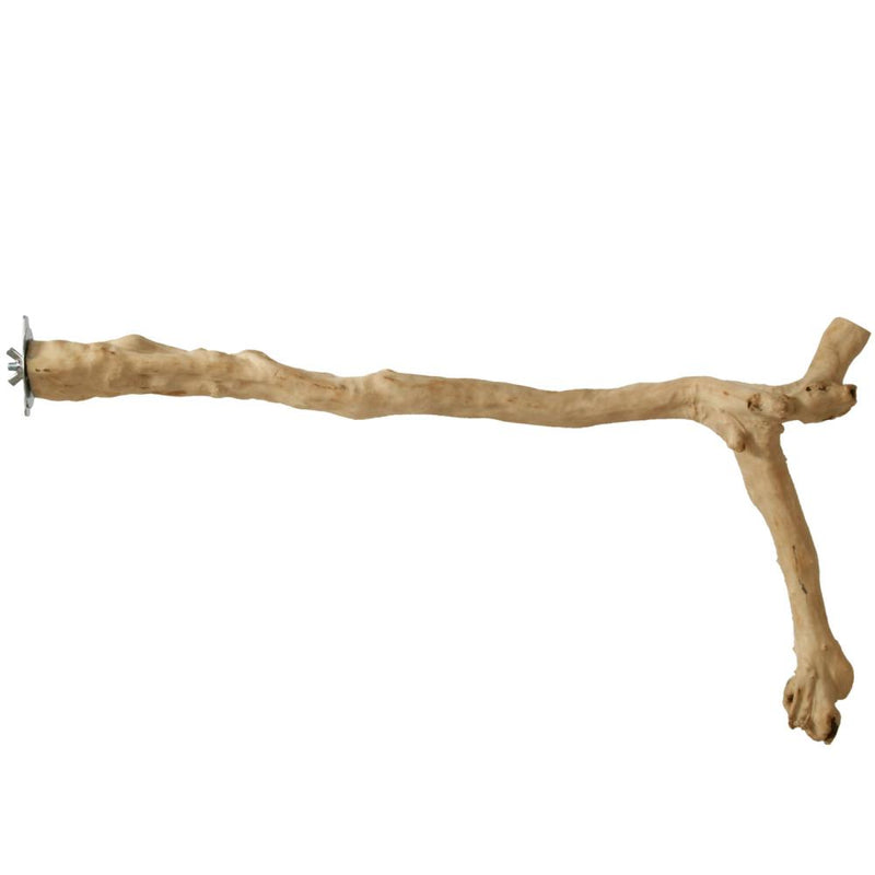 Prevue Hendryx Naturals Y Branch Bird Perches Coffee Wood - Exotic Wings and Pet Things