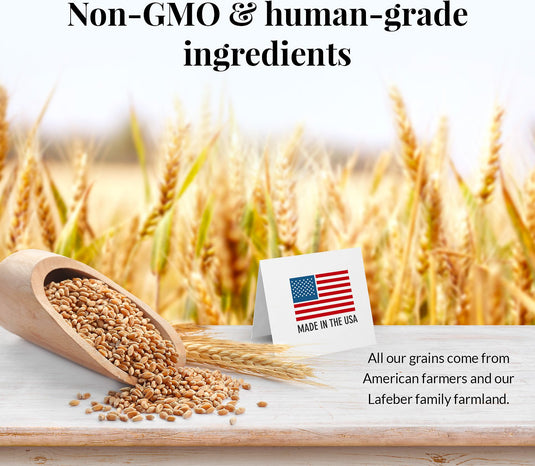 Lafeber's Premium Daily Diet Canary Food