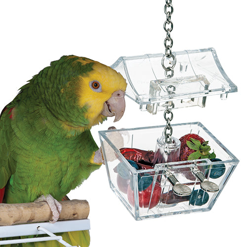 Featherland Paradise Parrot's Treasure Nature's Instinct Foraging Toy - 24280
