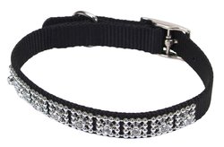 Jeweled Dog Collar