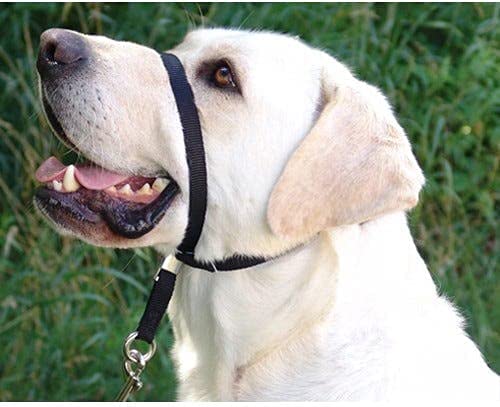 Gentle Leader Ultimate Head Collar Black
