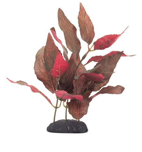 Marina EcoScaper Alternanthera Cardinalis Silk Plant