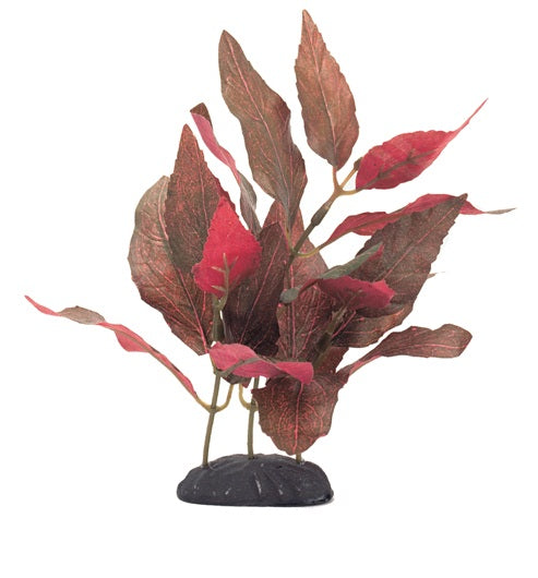 Marina EcoScaper Alternanthera Cardinalis Silk Plant