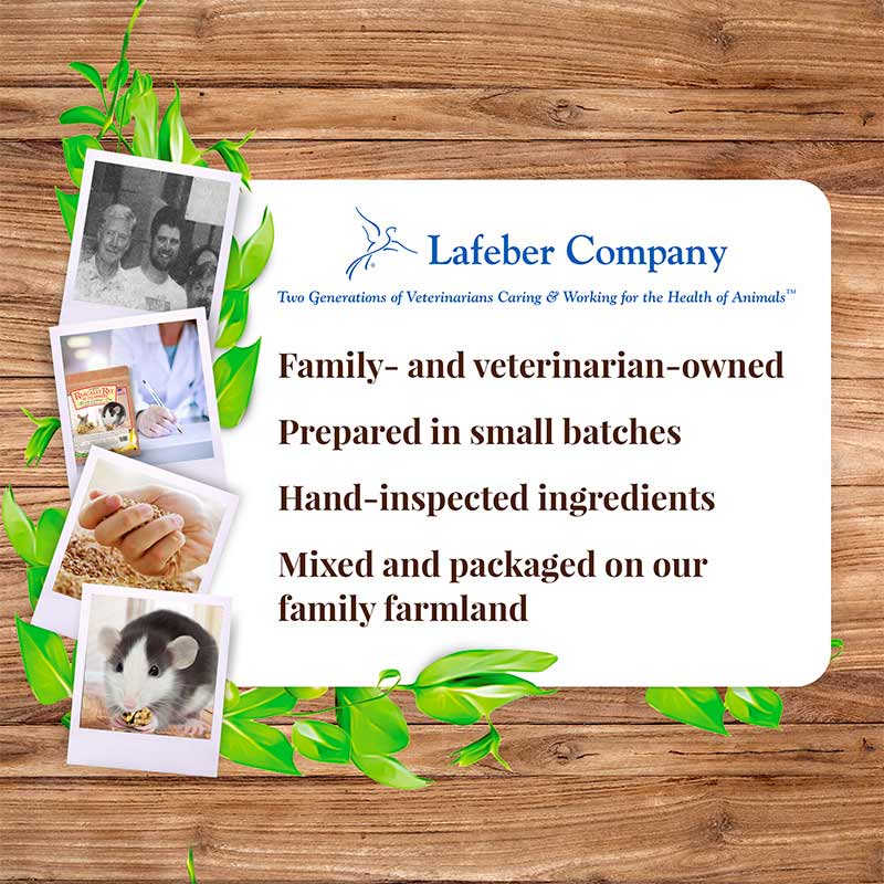 Lafeber's Rascally Rat Nutri-Berries
