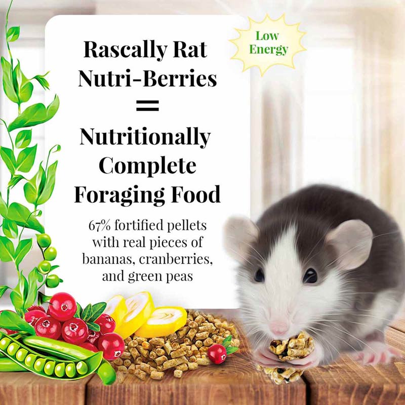 Lafeber's Rascally Rat Nutri-Berries
