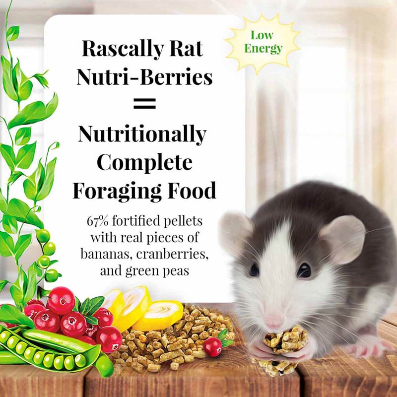 Lafeber's Rascally Rat Nutri-Berries