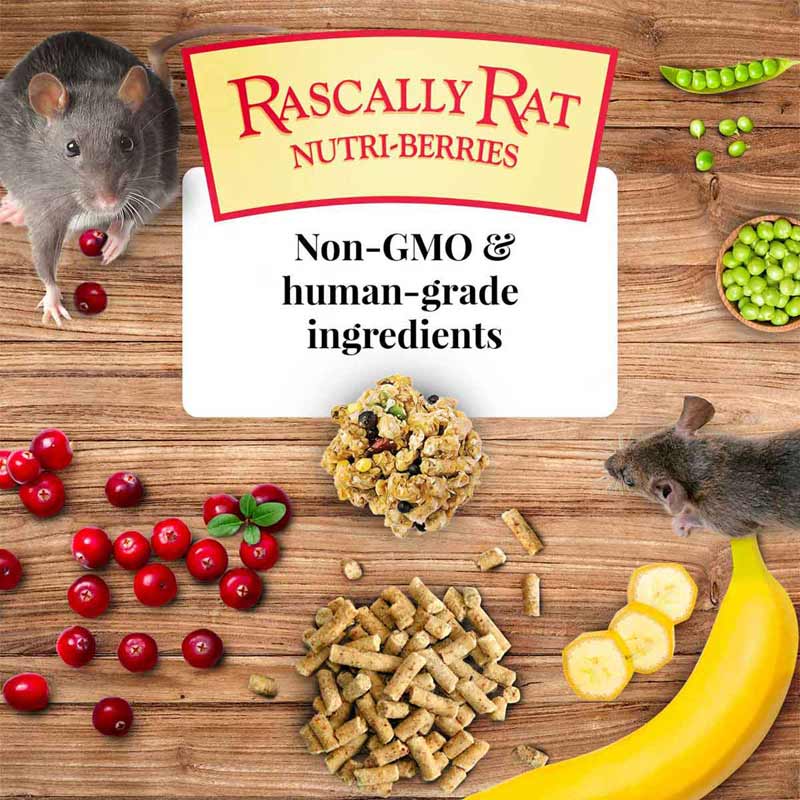 Lafeber's Rascally Rat Nutri-Berries